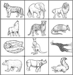 jogos alfabetização animais selvagens - Pesquisa Google